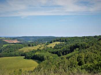 Trail On foot Chaudfontaine - Chawresse et Walthine - Photo
