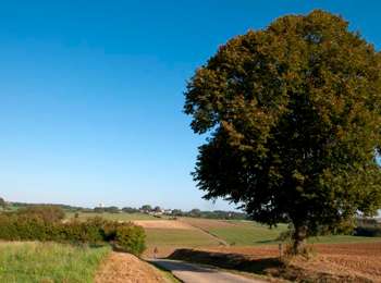 Trail On foot Assesse - FLOREE-MAIBELLE-FLOREE P6 - Photo