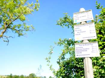 Tour Zu Fuß Havelange - Balade du Chêne au Gibet - Photo