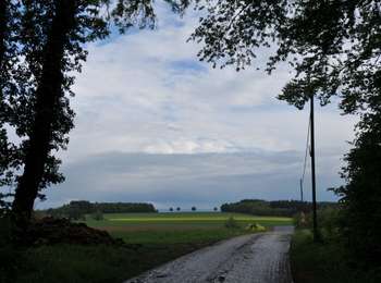 Tour Zu Fuß Havelange - Porcheresse : Promenade de la Ferme du Hasard - Photo