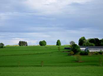 Tour Zu Fuß Havelange - Porcheresse : Promenade du Fond de Havinne - Photo