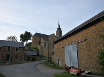 Tour Zu Fuß Havelange - Ossogne : Promenade du Bois de Clavia - Photo
