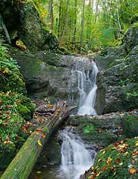 Randonnée A pied Hastière - Le Ladigan - Le Traillis - Le Belvédère - Photo