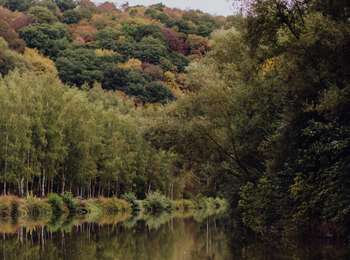 Trail On foot Lobbes - Au fil de Lobbes - Photo