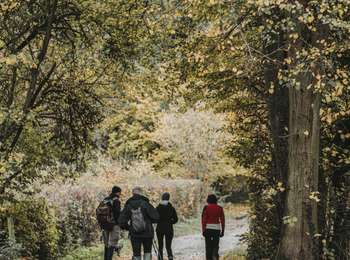 Trail On foot Chimay - Promenade des Sarrasins - Photo