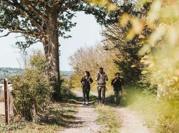 Trail On foot Sivry-Rance - Promenade de la vallée de l'Eau D'Eppe - Photo