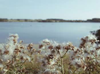 Trail Mountain bike Froidchapelle - Promenade VTT - Froidchapelle - Photo