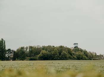 Trail On foot Anderlues - Le Chemin de la Bourlette - Photo