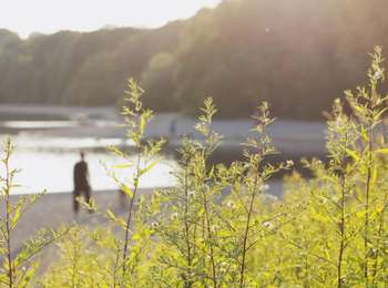 Trail On foot Froidchapelle - Petite promenade des Lacs - Photo