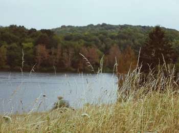 Trail Equestrian Froidchapelle - Promenade de la Carrière - Photo