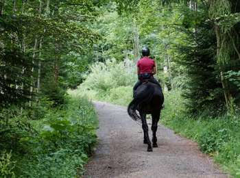 Tour Pferd Gesves - H - Photo