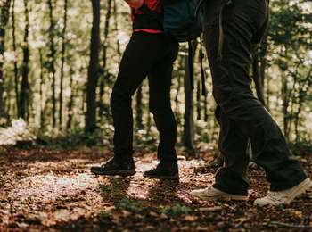 Trail On foot Erquelinnes - Sur les traces de la frontière hollandaise - Photo