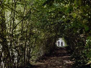 Trail Mountain bike Lobbes - Circuit de Goderan - Photo