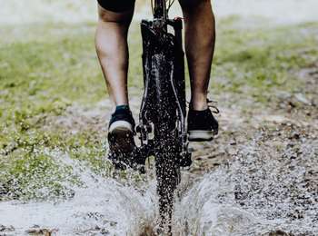 Trail Mountain bike Fontaine-l'Évêque - Sentier du Solitaire - Photo