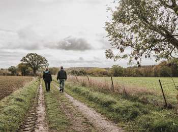 Trail On foot Froidchapelle - Promenade de Vergnies - Photo