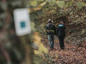 Trail On foot Sivry-Rance - Promenade circulaire de l'Ermitage - Photo