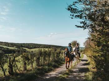 Trail Equestrian Sivry-Rance - Montbliart - promenade équestre n°1 - Photo