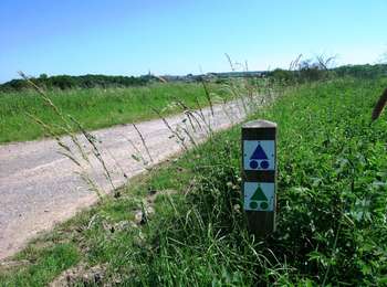 Tour Mountainbike Cerfontaine - Les Hauts de Cerfontaine - Photo
