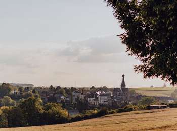 Trail On foot Walcourt - Au fil de Pry - Photo