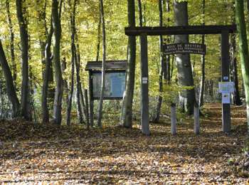 Trail On foot Sivry-Rance - Promenade de la Pierre qui Tourne - Photo