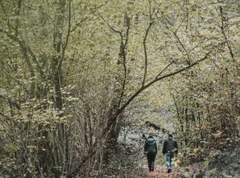 Trail On foot Walcourt - Pays des Splingues - Photo