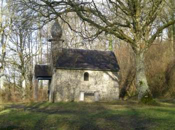 Trail On foot Doische - Bonne Fontaine - Photo