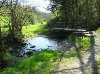 Trail On foot Doische - Moulin de Soulme - Photo