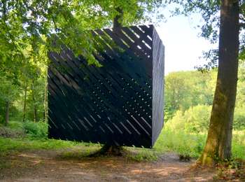 Percorso A piedi Ciney - Promenade du Bois des Aunes - Photo