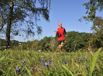 Tour Zu Fuß Somme-Leuze - Trail bleu de Somme-Leuze - Photo