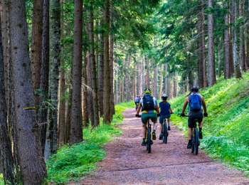 Tour Mountainbike Somme-Leuze - PARCOURS VTT DE SOMME-LEUZE N° 2 - Photo