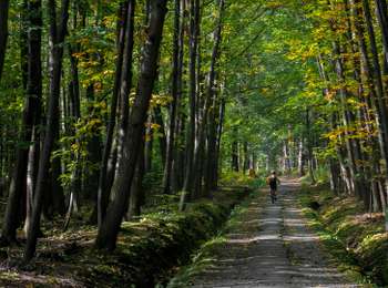 Tour Mountainbike Somme-Leuze - PARCOURS VTT DE SOMME-LEUZE N° 3 - Photo