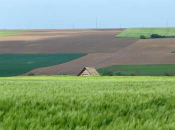 Trail On foot Héron - Balade de Saint Hubert - Photo