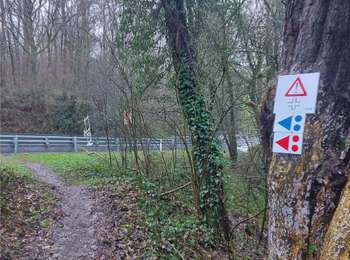 Percorso Mountainbike Hastière - Heer-Agimont d'une rive à l'autre - Photo