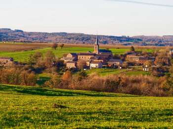 Tour Pferd Houyet - Bois du Roi - Photo