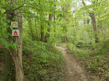 Tour Mountainbike Andenne - Echappée du Bois Heer - Photo