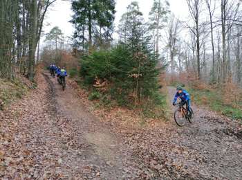 Randonnée V.T.T. La Roche-en-Ardenne - VTT's 2 - Photo