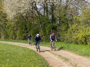 Trail Mountain bike Érezée - Les Horizons - Photo