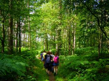Tour Pferd Houyet - Ferage - Photo