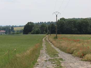 Trail Mountain bike Onhaye - Clinchamps et La Forge par les Salinges - Photo