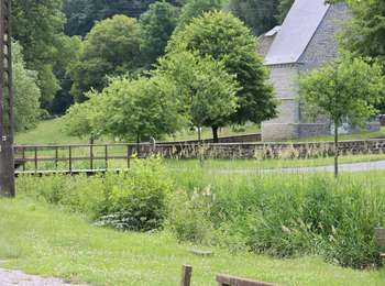 Tour Mountainbike Onhaye - Par le Fond Sucet et le bois des Bruyères - Photo