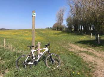 Trail Mountain bike Neufchâteau - Circuit du Lé Buchan - Photo