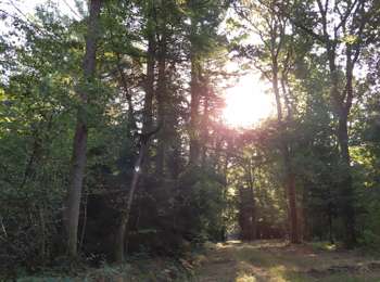 Tour Zu Fuß Bièvre - Promenade de Prâje - Photo