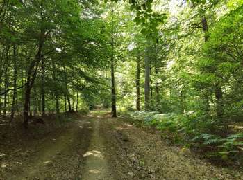 Tour Zu Fuß Bièvre - Les Maurzies - Photo