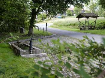 Tocht Te voet Bertogne - Béthomont - Photo