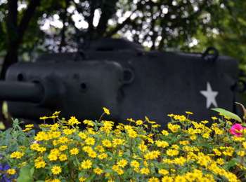 Tocht Te voet Bertogne - Sur le Rond Fromage - Photo