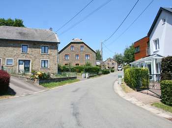 Tocht Te voet Bertogne - Promenade des Bisons - Photo