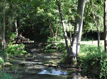 Tour Zu Fuß Onhaye - Ruines de Montaigle - Photo