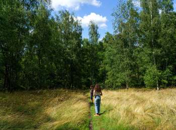 Tour Zu Fuß Andenne - Réserve naturelle de Sclaigneaux - Photo