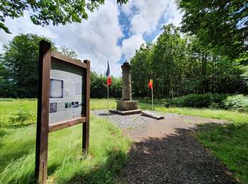 Trail Mountain bike Paliseul - Carlsbourg : circuit VTT bleu - Photo