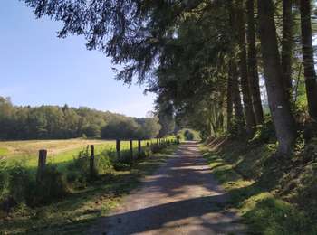 Tour Zu Fuß Bièvre - Les Translets - Photo